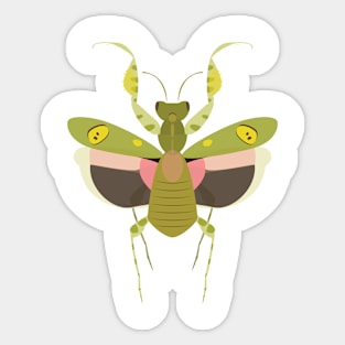 Indian Flower Mantis Sticker